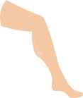 Leg Illustration